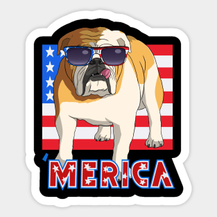 English Bulldog Merica 4th of July Sticker